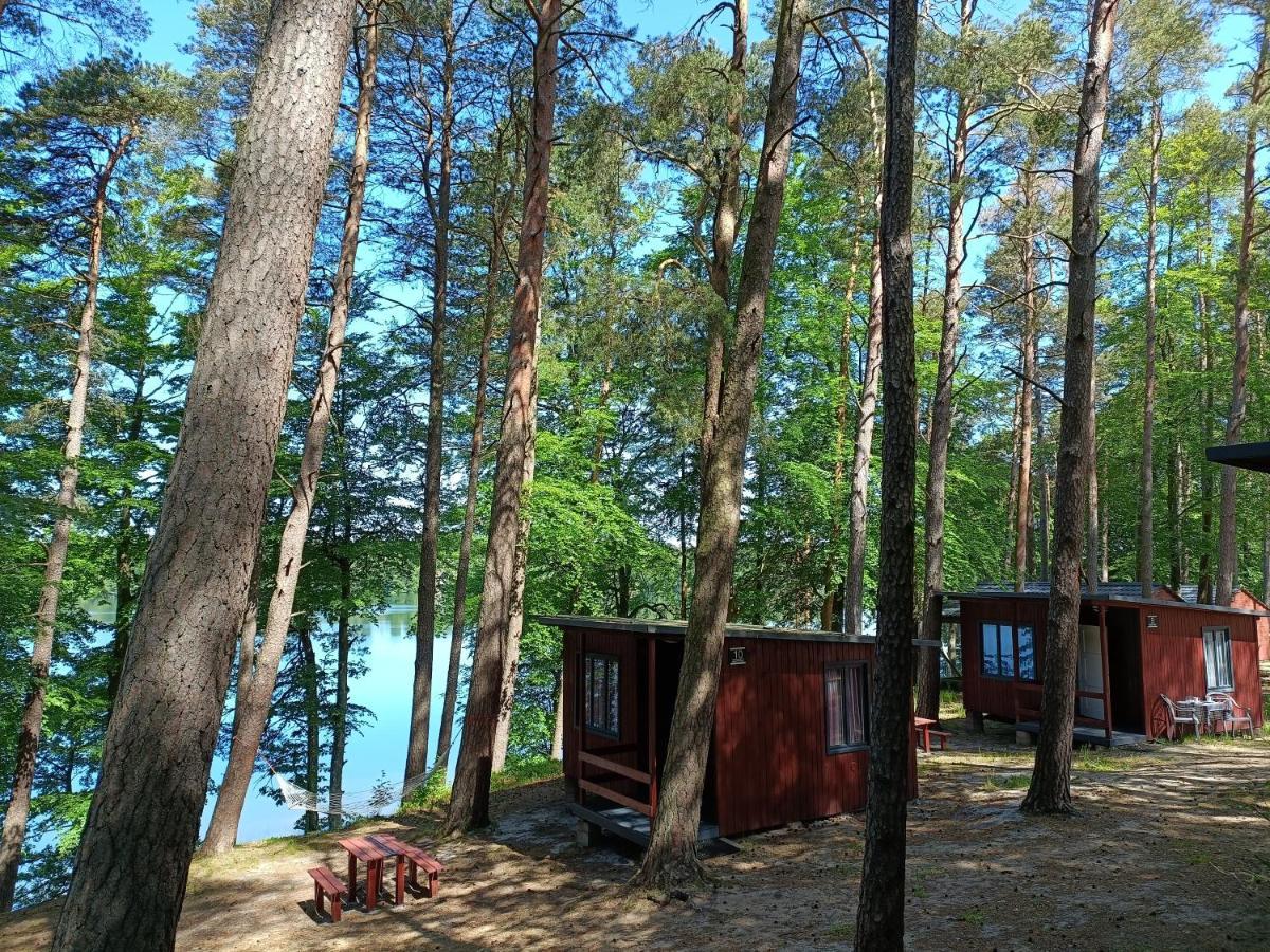Instytut Wypoczynku - Domki Nad Jeziorem Mausz Sulęczyno Buitenkant foto