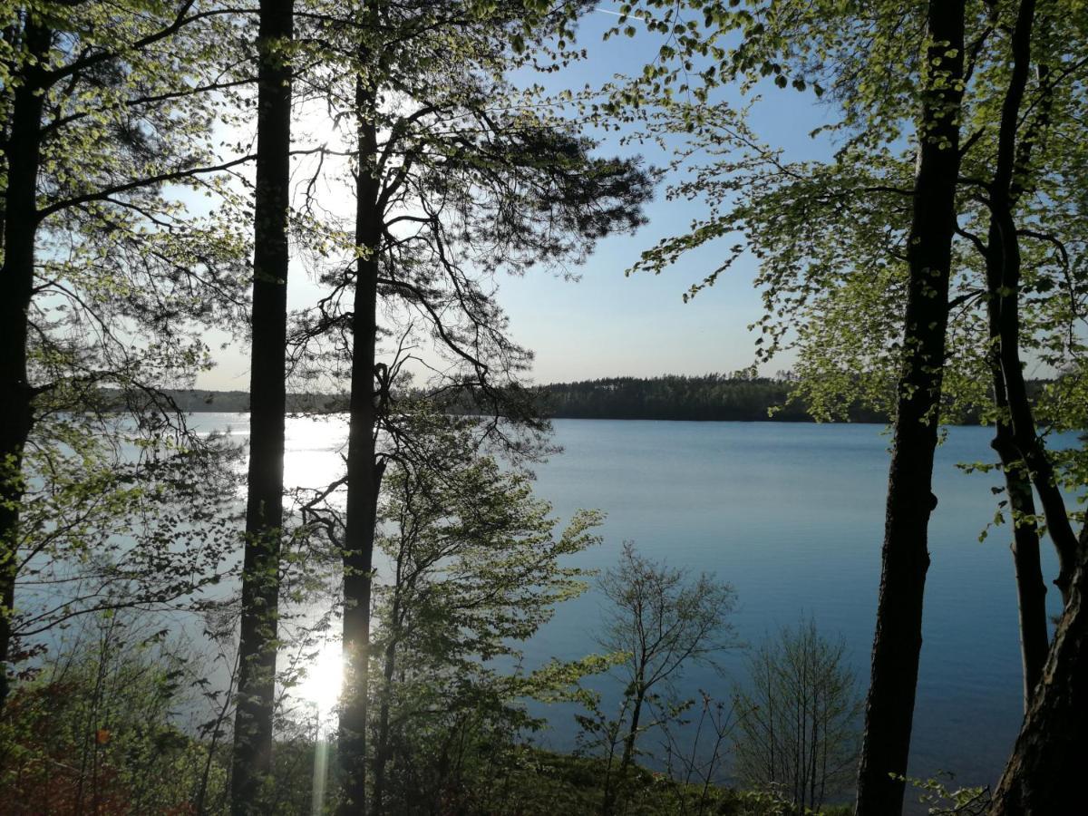 Instytut Wypoczynku - Domki Nad Jeziorem Mausz Sulęczyno Buitenkant foto